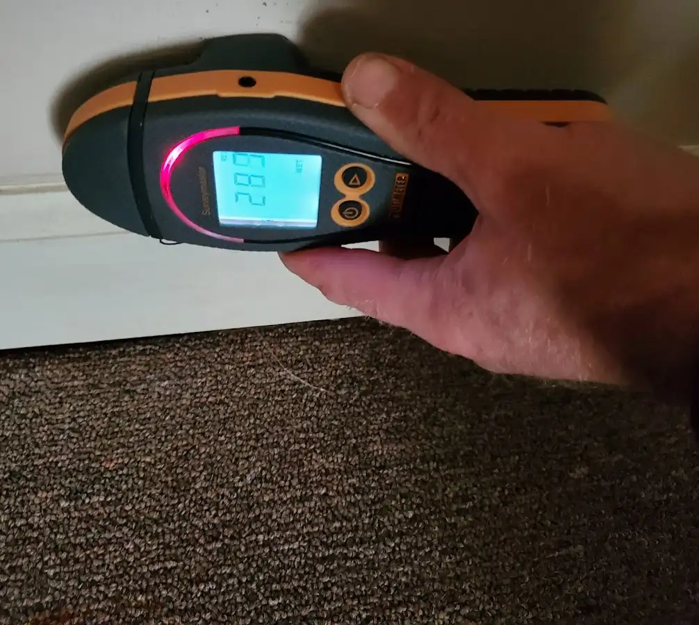 Moisture detection at baseboard during Sewage Cleanup & Sanitation in Flowood